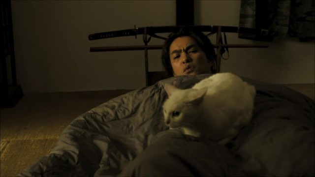 Neko Zamurai Fotoğrafı