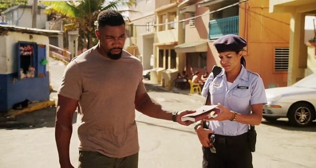 Falcon Rising Fotoğrafı