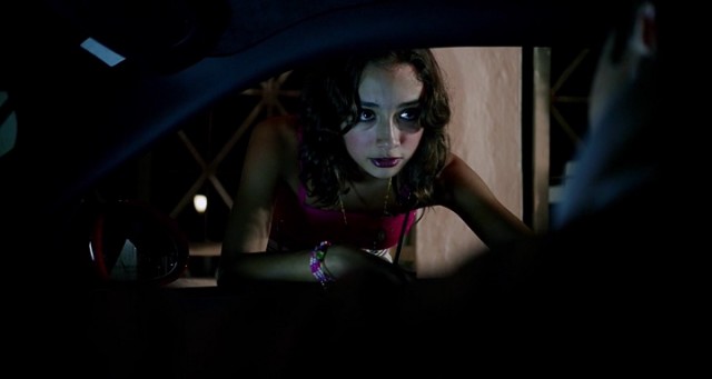 Falcon Rising Fotoğrafı