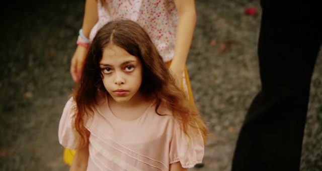 Falcon Rising Fotoğrafı