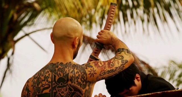 Falcon Rising Fotoğrafı