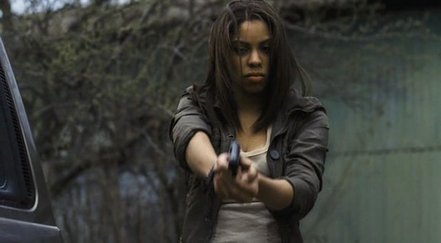 Flight Of Fury Fotoğrafı