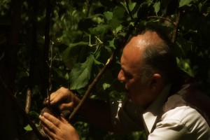 Bir Kaplumbağa ile Tavşan Hikayesi Fotoğrafı