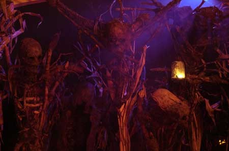 Mr. Jones fotoğrafı