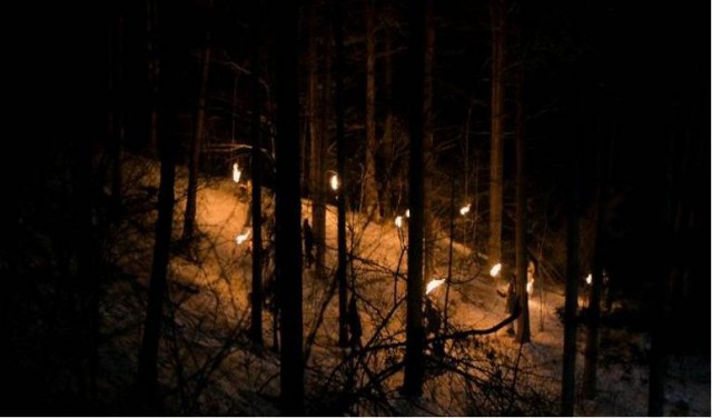 The Tiger Fotoğrafı