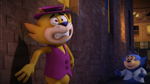 Sevimli Kedi İş Başında 2 Fotoğrafı