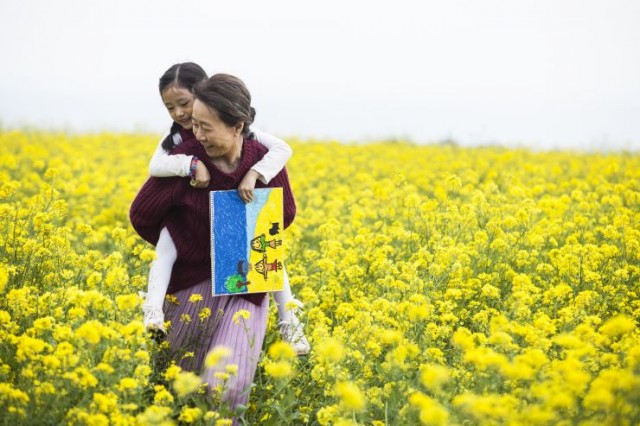 Canola Fotoğrafı