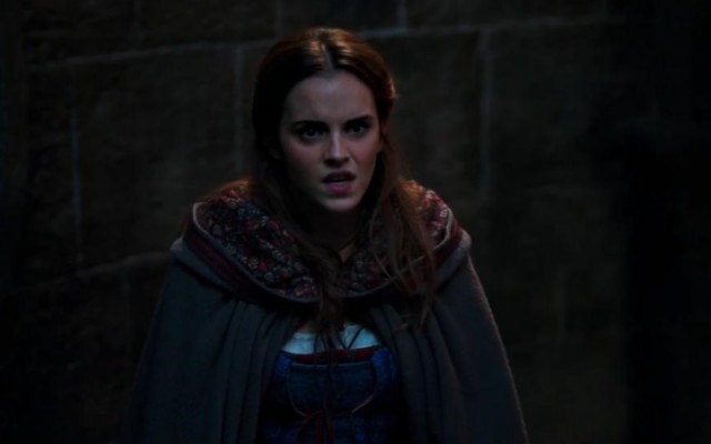 Güzel ve Çirkin Fotoğrafı