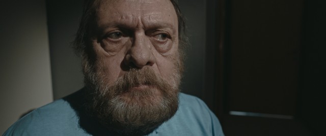 Hannas: Karanlıkta Saklanan Fotoğrafı