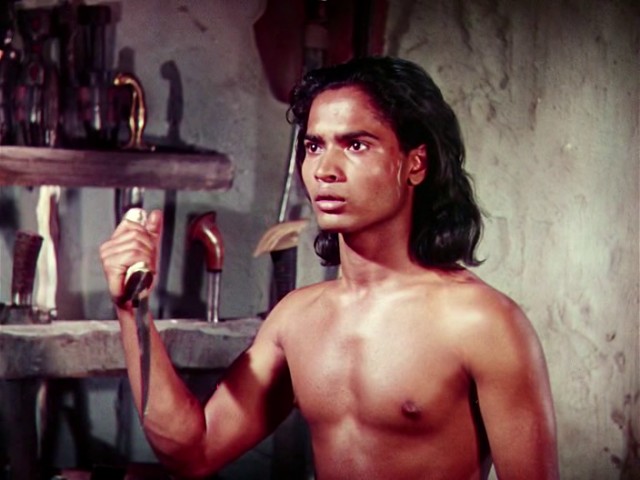 Ormanın Kitabı Fotoğrafı