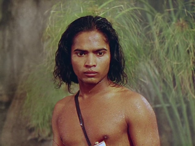 Ormanın Kitabı Fotoğrafı