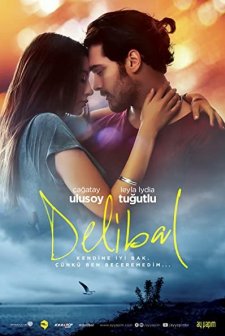 Delibal (2015) afişi