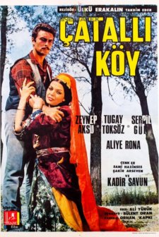 Çatallı Köy (1968) afişi