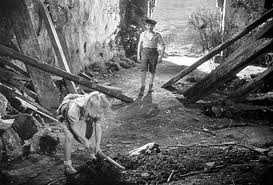 Yasak Oyunlar Fotoğrafı