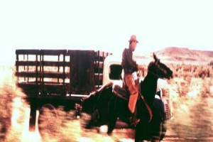 Vahşi Aşk fotoğrafı