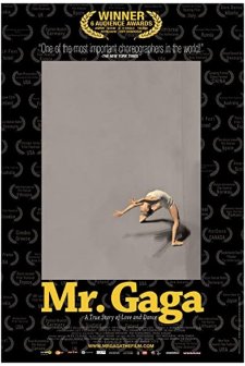 Mr. Gaga (2015) afişi