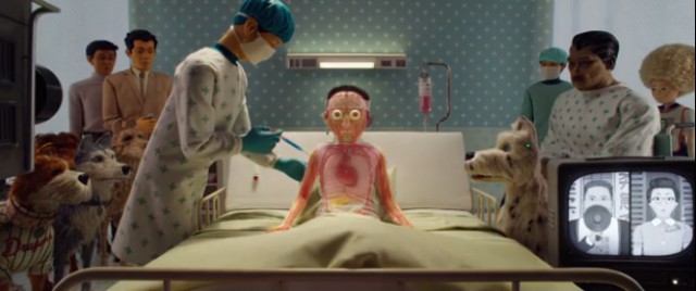 Köpek Adası Fotoğrafı