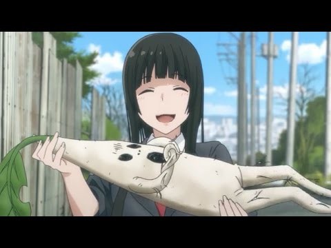 Flying Witch  Fotoğrafı