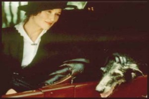 Benim Afrikam Fotoğrafı