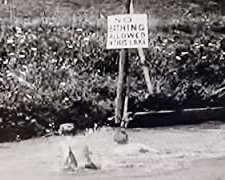 Turning the Tables (1903) afişi