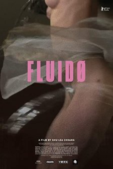 Fluidø (2017) afişi