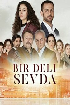 Bir Deli Sevda (2017) afişi