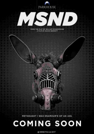 MSND (2018) afişi