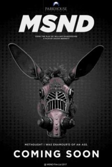 MSND (2018) afişi