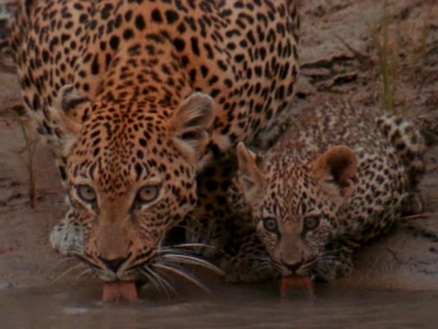 Çılgın Kaçış Fotoğrafı