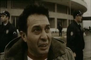 Filler ve Çimen Fotoğrafı