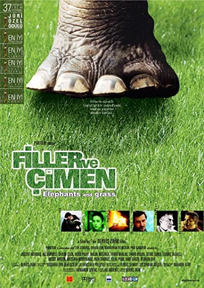 Filler ve Çimen (2000) afişi