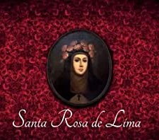 Rosa de Santa Maria (2017) afişi