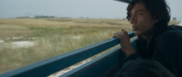 Güvercin Fotoğrafı