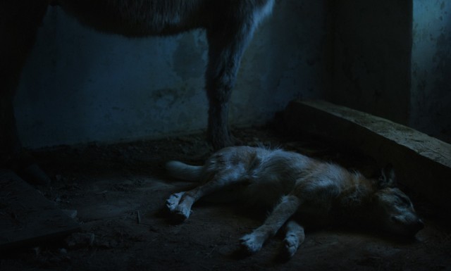 Ich war zuhause, aber fotoğrafı