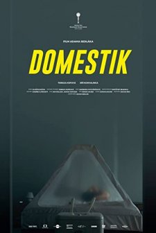 Domestik (2018) afişi