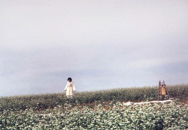 Dongmakgol'a Hoşgeldiniz Fotoğrafı