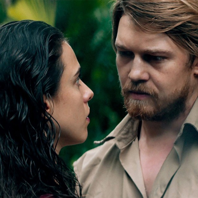 Öğle Güneşinde Yıldızlar Fotoğrafı