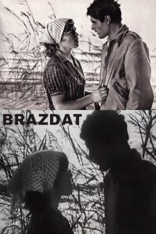 Brazdat (1973) afişi