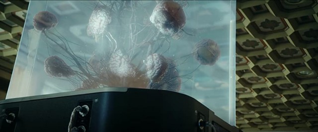 Mutluluk Fotoğrafı