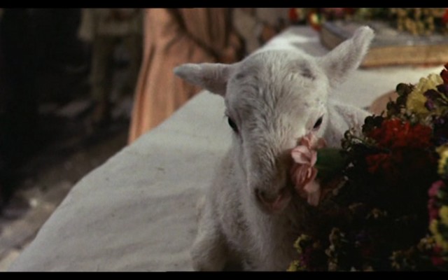 Ay ve Güneş Kardeşler Fotoğrafı