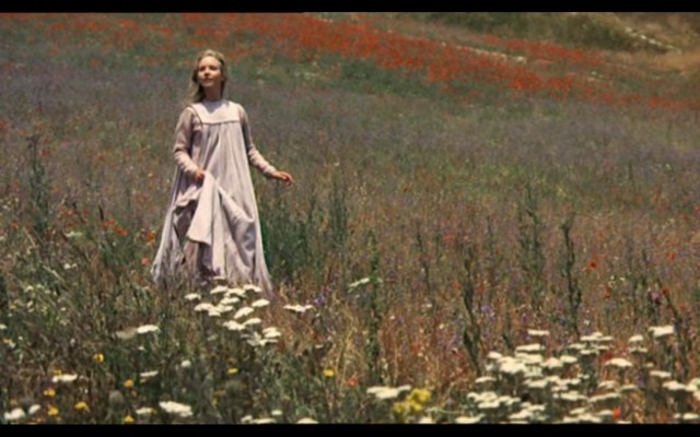 Ay ve Güneş Kardeşler Fotoğrafı