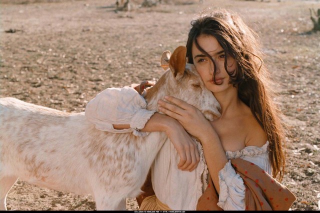 Volaverunt Fotoğrafı