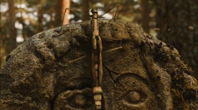 Pan'ın Labirenti Fotoğrafı