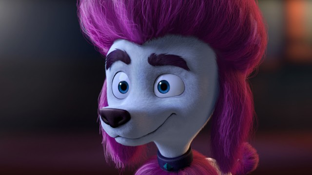 %100 Kurt fotoğrafı