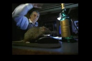 Willard'ın Fareleri Fotoğrafı