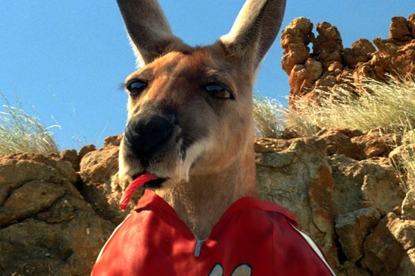 Kanguru Jack fotoğrafı