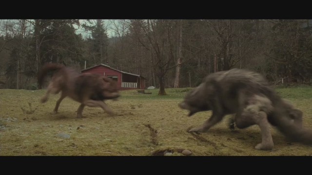Alacakaranlık Efsanesi: Yeni Ay Fotoğrafı