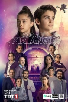 Kod Adı Kırlangıç (2023) afişi