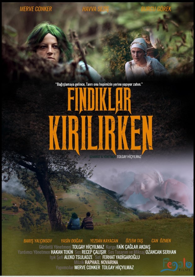Fındıklar Kırılırken (2018) afişi