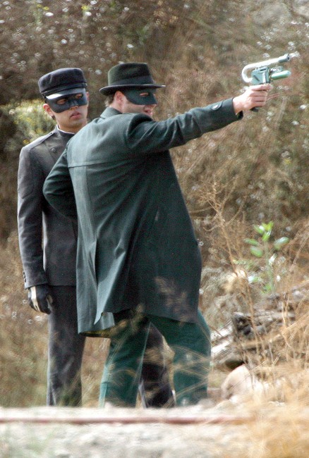 Yeşil Yaban Arısı Fotoğrafı